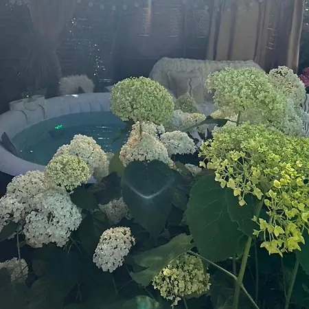 Perle Am Rande Von Berlin Mit Terrasse, Whirlpool & Pur Wildau (Dahme-Spreewald)