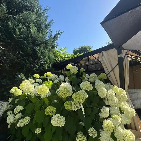 Apartment Perle Am Rande Von Berlin Mit Terrasse, Whirlpool & Pur Wildau (Dahme-Spreewald)
